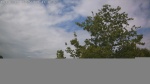 Web Cam Image - Fri, 06/26/2026 10:31am CDT