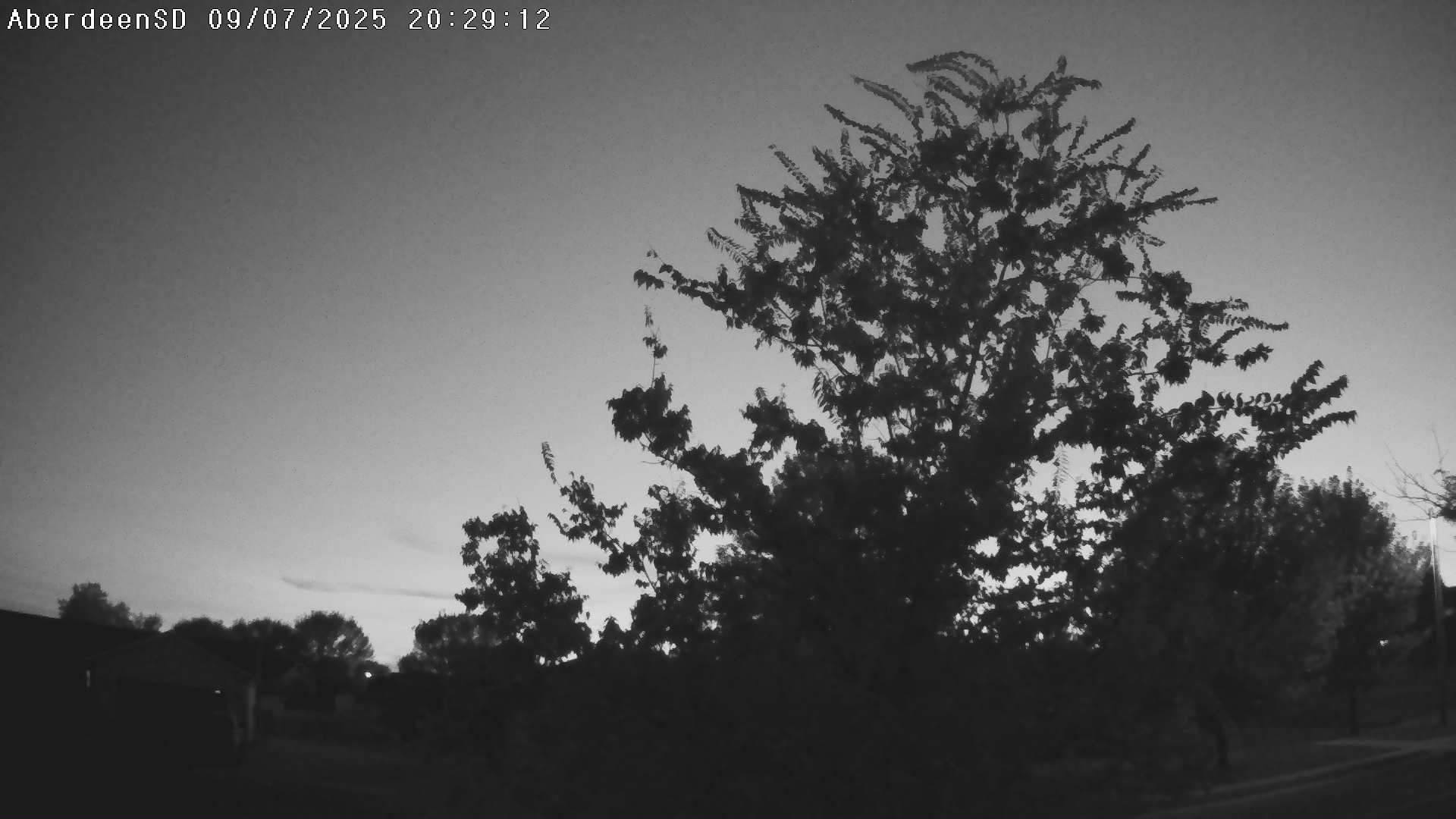 Web Cam History Image - 46