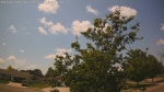 Web Cam Image - Mon, 06/30/2025 8:49am CDT