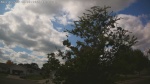 Web Cam Image - Sat, 09/06/2025 11:41am CDT