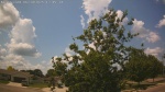 Web Cam Image - Mon, 06/30/2025 8:46am CDT