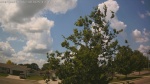 Web Cam Image - Mon, 06/30/2025 8:41am CDT