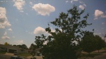 Web Cam Image - Mon, 06/30/2025 8:40am CDT