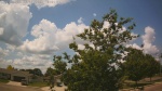 Web Cam Image - Mon, 06/30/2025 8:35am CDT