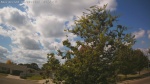 Web Cam Image - Sat, 09/06/2025 11:28am CDT
