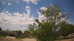 Web Cam Image - Tue, 05/26/2026 12:02pm CDT