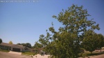 Web Cam Image - Sat, 06/06/2026 1:01pm CDT