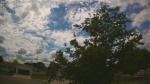 Web Cam Image - Mon, 06/22/2026 1:53pm CDT