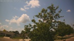 Web Cam Image - Mon, 06/30/2025 8:31am CDT