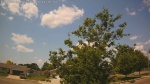 Web Cam Image - Mon, 06/30/2025 8:29am CDT