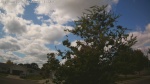 Web Cam Image - Sat, 09/06/2025 11:13am CDT