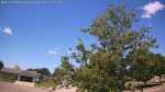 Web Cam Image - Sun, 06/14/2026 11:26am CDT