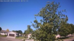 Web Cam Image - Fri, 06/19/2026 8:31am CDT