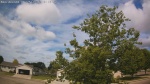 Web Cam Image - Thu, 06/25/2026 9:01am CDT