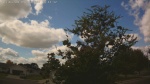 Web Cam Image - Sat, 09/06/2025 11:01am CDT