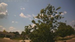 Web Cam Image - Mon, 06/30/2025 8:05am CDT