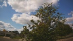 Web Cam Image - Sat, 09/06/2025 10:53am CDT