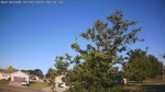 Web Cam Image - Tue, 07/01/2025 12:49am CDT