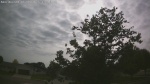 Web Cam Image - Mon, 06/08/2026 5:20pm CDT