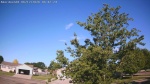 Web Cam Image - Fri, 06/12/2026 7:14am CDT