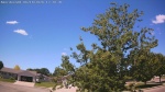 Web Cam Image - Sun, 06/14/2026 11:25am CDT