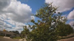 Web Cam Image - Sat, 09/06/2025 10:46am CDT