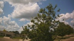 Web Cam Image - Mon, 06/30/2025 7:49am CDT