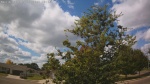 Web Cam Image - Sat, 09/06/2025 10:40am CDT