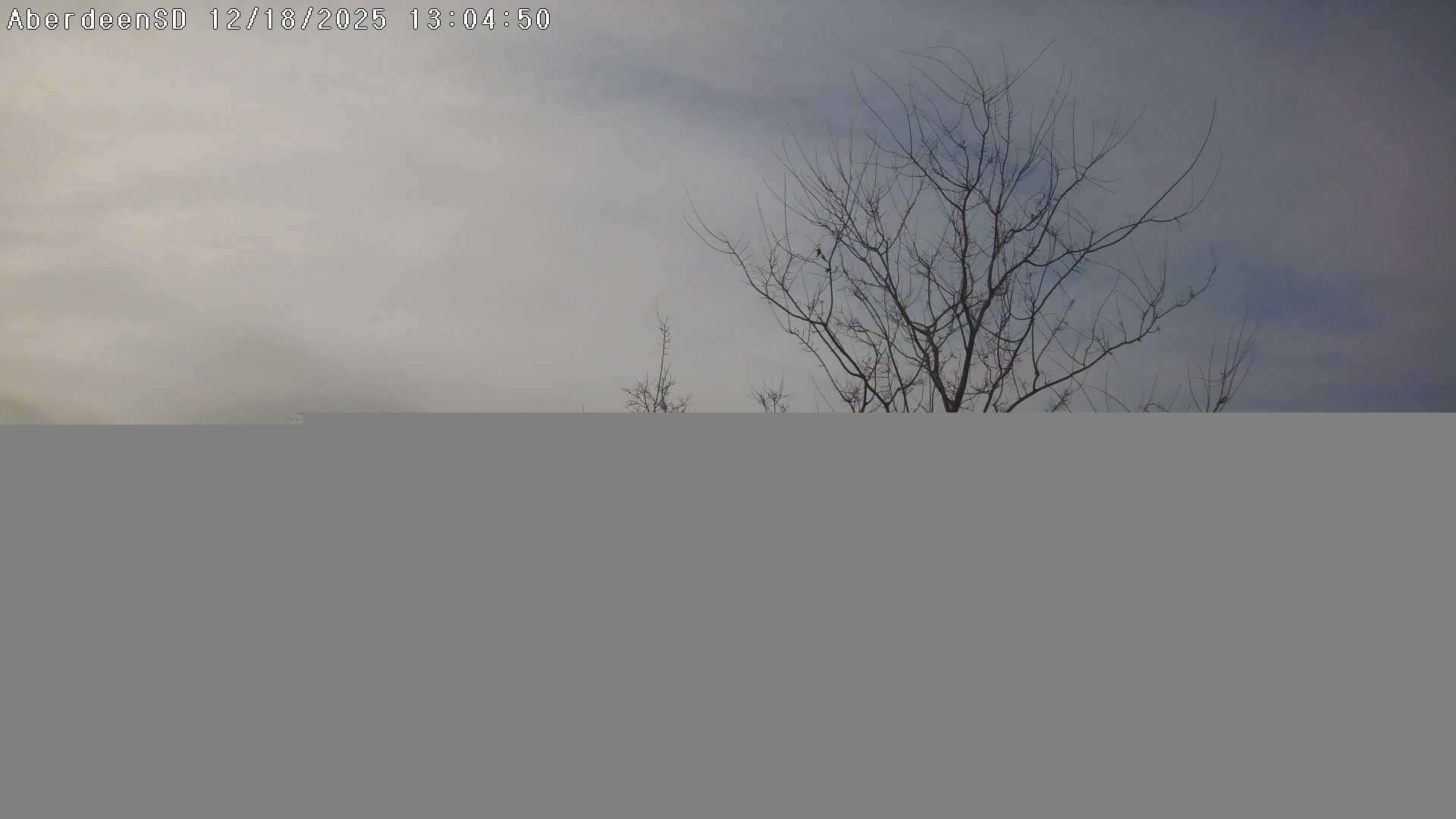 Web Cam History Image - 484