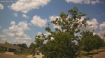 Web Cam Image - Mon, 06/30/2025 7:43am CDT