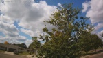 Web Cam Image - Sat, 09/06/2025 10:37am CDT