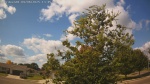 Web Cam Image - Sat, 09/06/2025 10:31am CDT