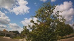Web Cam Image - Sat, 09/06/2025 10:29am CDT