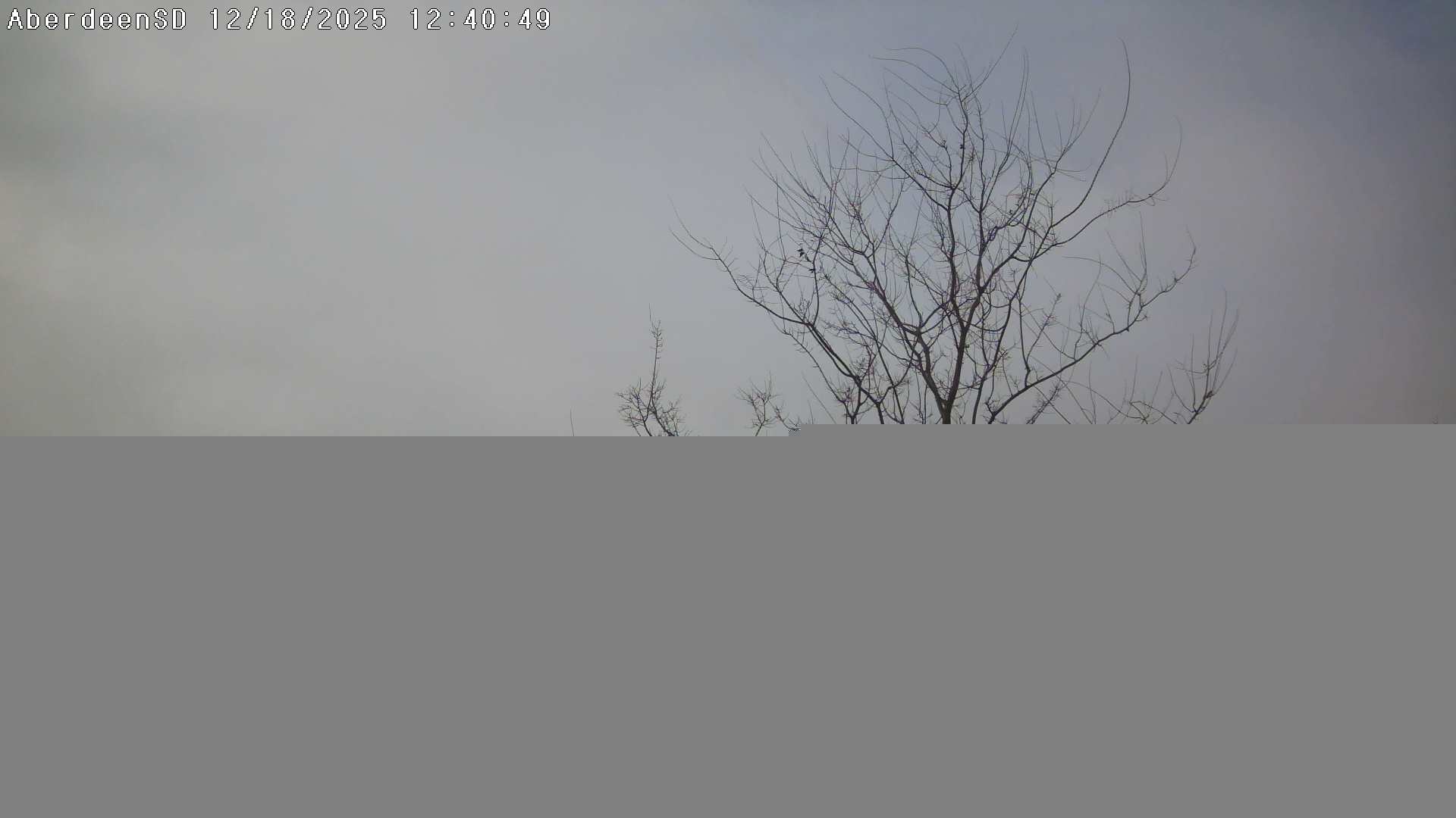 Web Cam History Image - 490