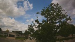 Web Cam Image - Thu, 06/04/2026 11:05am CDT