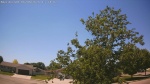 Web Cam Image - Sat, 06/06/2026 12:52pm CDT