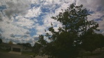 Web Cam Image - Mon, 06/22/2026 1:47pm CDT