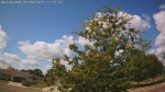 Web Cam Image - Sat, 09/06/2025 10:22am CDT