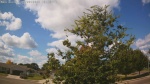 Web Cam Image - Sat, 09/06/2025 10:11am CDT