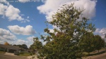 Web Cam Image - Sat, 09/06/2025 10:10am CDT