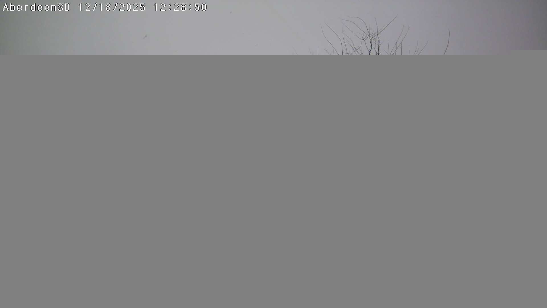 Web Cam History Image - 499