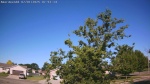 Web Cam Image - Tue, 07/01/2025 2:16am CDT