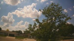 Web Cam Image - Tue, 06/02/2026 2:13pm CDT