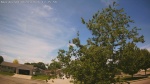 Web Cam Image - Wed, 06/03/2026 11:52am CDT