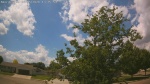 Web Cam Image - Fri, 06/05/2026 12:46pm CDT