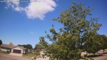 Web Cam Image - Fri, 06/19/2026 9:55am CDT