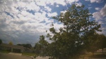Web Cam Image - Mon, 06/22/2026 3:16pm CDT