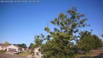 Web Cam Image - Tue, 07/01/2025 12:46am CDT