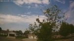 Web Cam Image - Thu, 05/21/2026 11:01am CDT