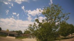 Web Cam Image - Tue, 05/26/2026 11:55am CDT